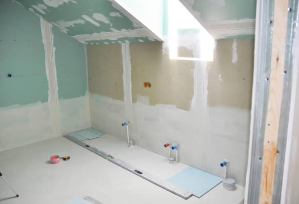 Best Mold Prevention Services  in Edinburg, IL