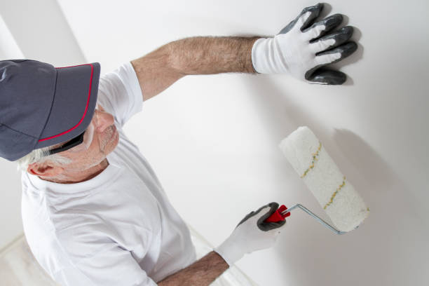 Best Mold Odor Removal Services  in Edinburg, IL