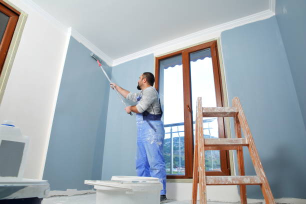 Best HVAC Mold Inspection and Cleaning  in Edinburg, IL