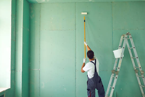 Best Biohazard Mold Removal  in Edinburg, IL