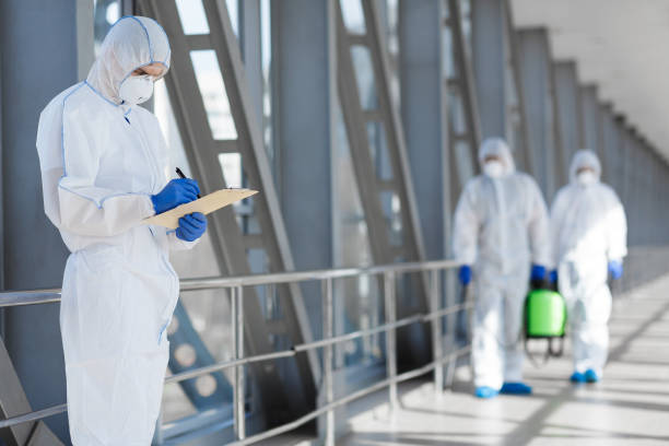 Mold Remediation for Rental Properties in Edinburg, IL