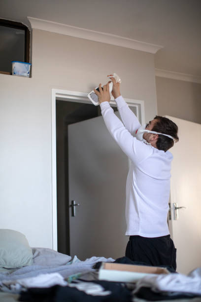 Best Mold Documentation for Insurance Claims  in Edinburg, IL