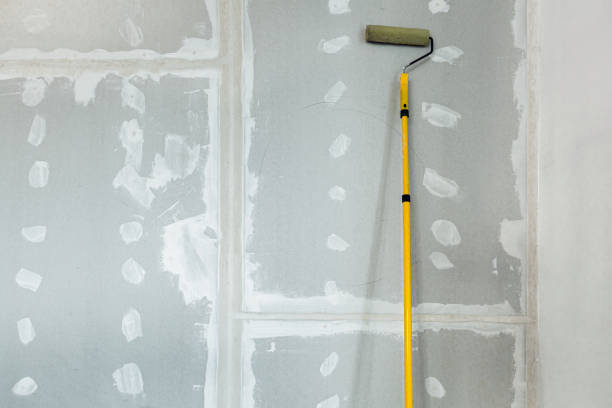 Best Water Damage & Mold Remediation  in Edinburg, IL