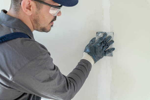Best Environmental Consulting for Mold Prevention  in Edinburg, IL