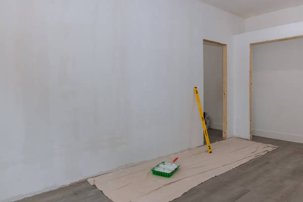 Best Comprehensive Air Testing for Mold Contaminants  in Edinburg, IL