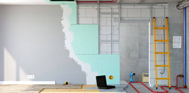 Best Attic Mold Removal  in Edinburg, IL