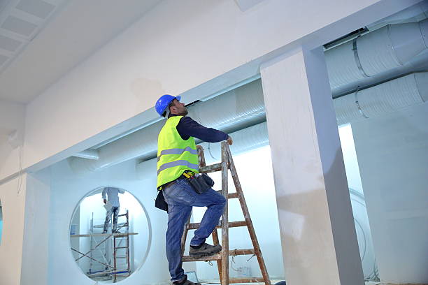 Best Commercial Mold Inspection  in Edinburg, IL