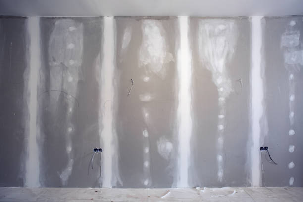 Best Real Estate Mold Inspection  in Edinburg, IL